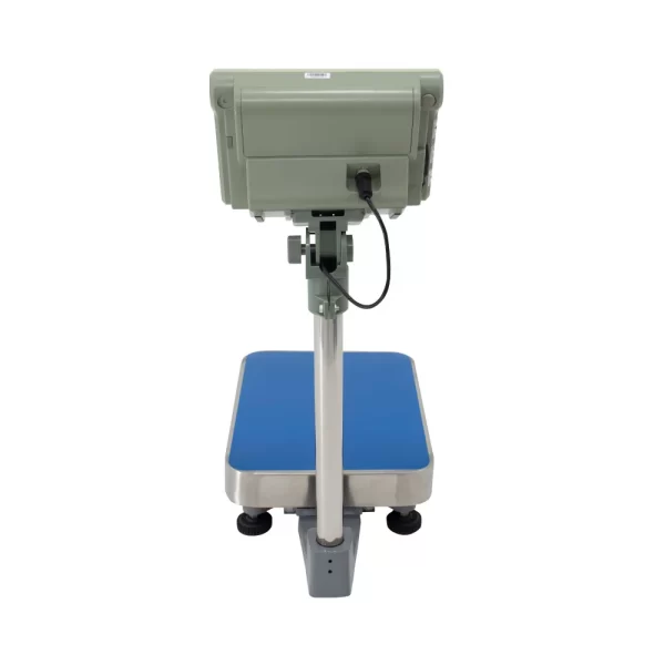 Balanza De Plataforma Excell AP4 De 100 Kilos